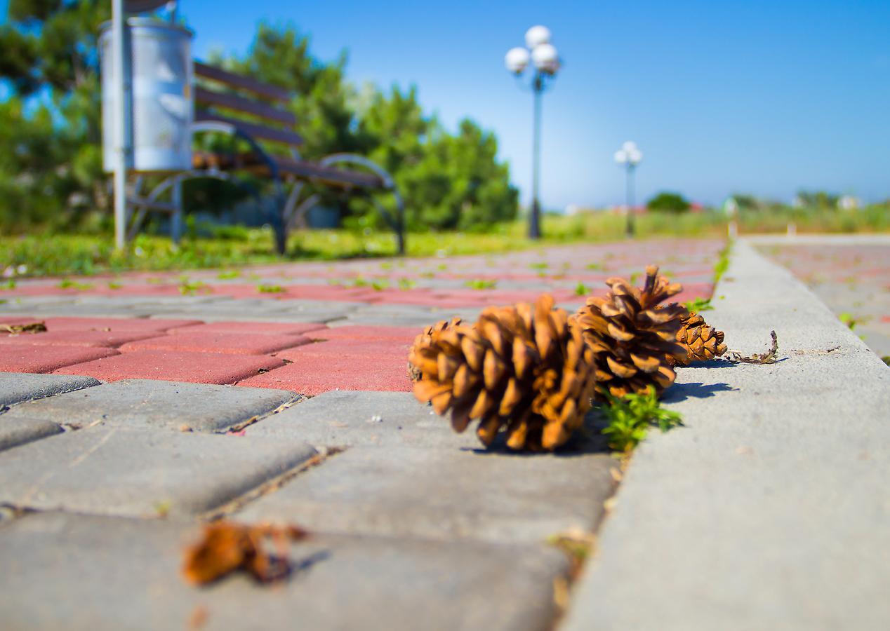 Hotel Promenad Zatoka Kültér fotó